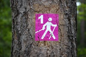 Nordic Walking sign