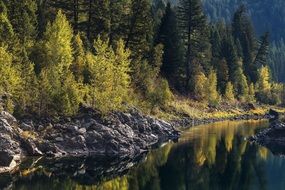 green scenic landscape near the river