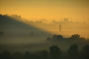 Fog in the morning on the landscape