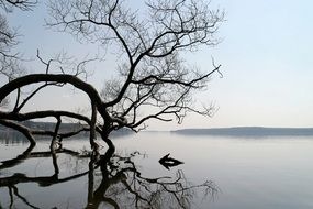 incredibly delicious Lake Landscape