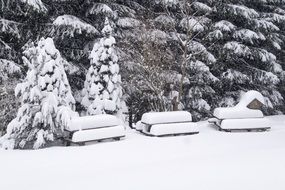 Snow Winter Landscape