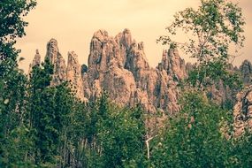 rocks behind green trees