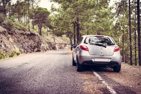 Lonely gray Mazda car on the road among the green trees