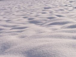 fluffy snow in winter closeup