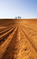 picturesque Agriculture Field