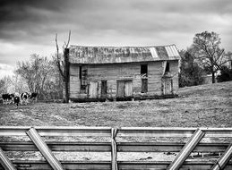 black and white picture of an old barn