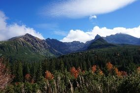 landscape on green mountains