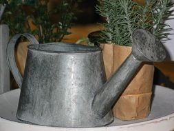 watering can near potted flowers