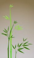 green bamboo on a gray background