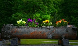 Natural Vase Flowers