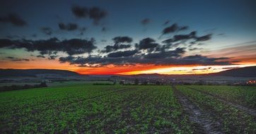 Fields in countryside