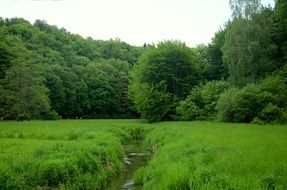 picturesque River