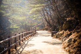 walking path in the Juwangsan National Park, South Korea