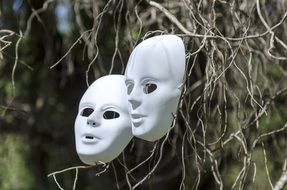 white masks on dry branches