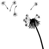 flying dandelion seeds on a white background