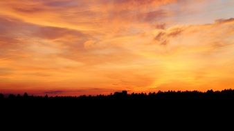 Beautiful and colorful sunset sky over black silhouettes of trees on landscape