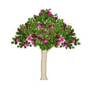 green tree with red flowers