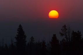 incandescent sun in the evening