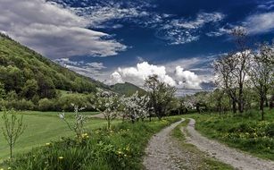 incredibly delicious Spring Nature