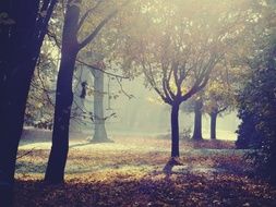 picturesque Park