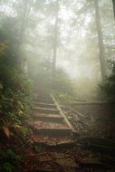 trail with stairs in the mountains in the fog