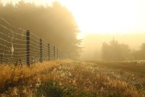 Fence on a field