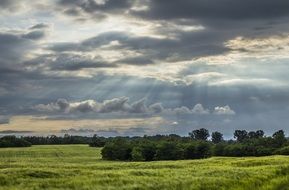 bright green field under a cloudy sky