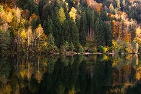 colorful autumn forest by the lake in october
