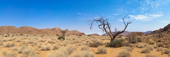 Africa Namibia Wilderness desert panorama