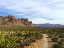 trail in the canyon of red rock