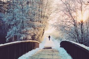 man walking in the winter park