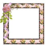 photo frame with pink roses