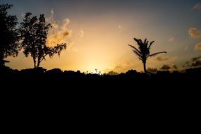 picturesque Maui Sunset