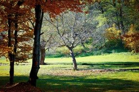 autumn is like a colorful season