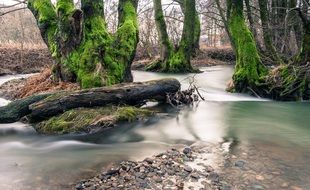 Creek on a river