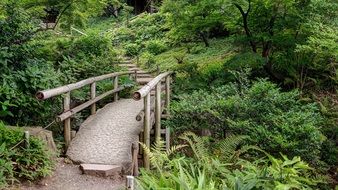 wooden bridge in Sankeien Garden, Japan