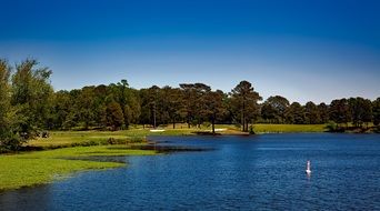 goose on a picturesque lake in alabama