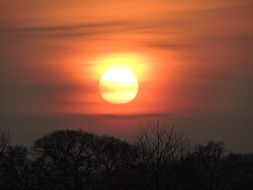 Yellow suner in the evening