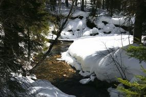 forest stream in the snow