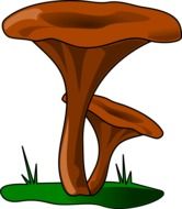 two brown Mushrooms on moss, illustration