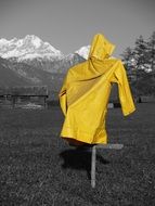 mountain Meadow with Yellow Rain Coat on pillar, monochrome image