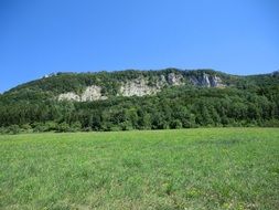 Meadow Summer Rock