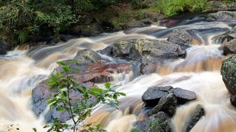 scenic stream on rocky bed, long exposure