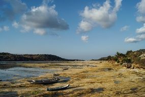 Landscape of Dry Land on a beach