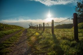 landscape of rural road along the fence