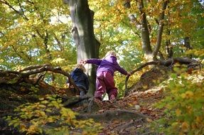 People Balance Forest