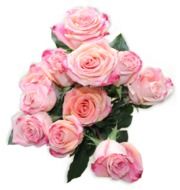 Pink rose bouquet top view