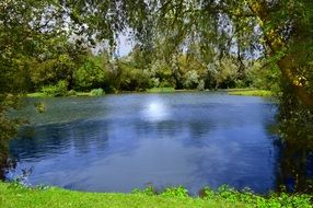 sun is reflected in the pond