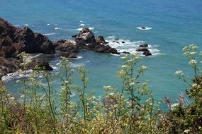 panoramic view of the ocean coast on a sunny day