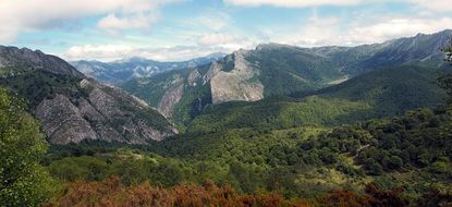 panoramic view of forest in the mountains in asturias